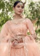 Wonderful Light Peach Color Net Lehenga Choli